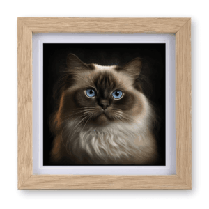 Birman