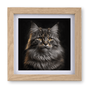 Maine Coon