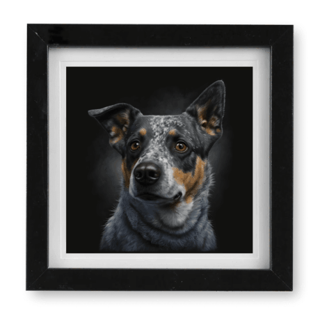 Blue Heeler v1