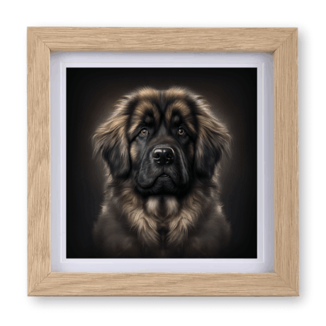 Leonberger v2