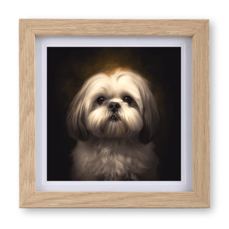 Lhasa Apso v1