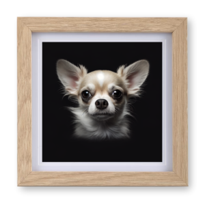 Chihuahua v3