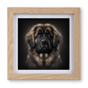Leonberger v2