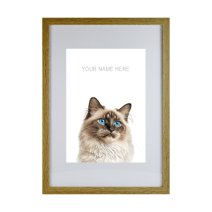 Birman