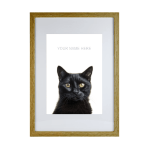 Domestic Black