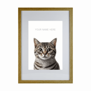Tabby