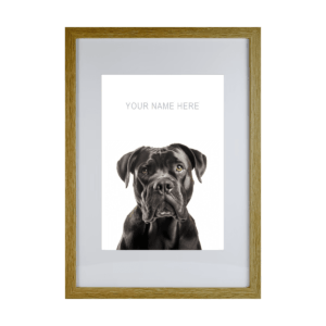 Cane Corso