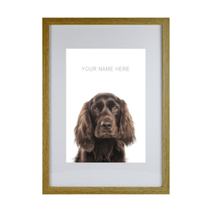 Cocker Spaniel v1