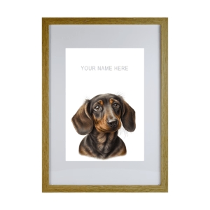 Dachshund v2