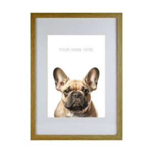 French Bulldog