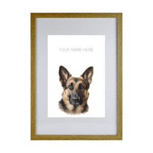 German Shepard v2