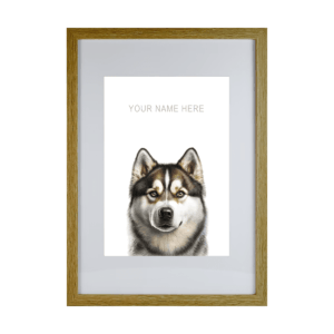 Alaskan Malamute
