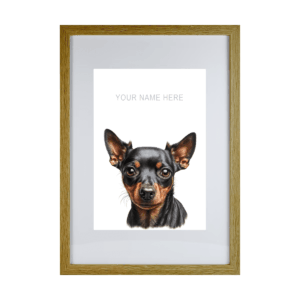 Miniature Pinscher
