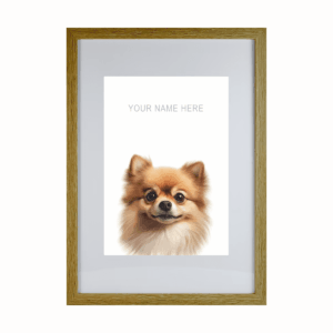 Pomeranian