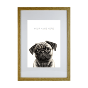 Pug v2