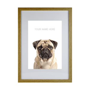 Pug v3