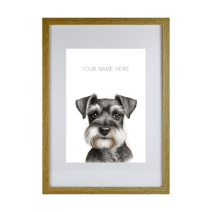 Schnauzer