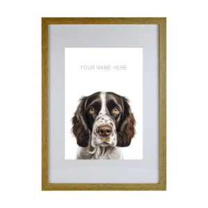 Springer Spaniel v2