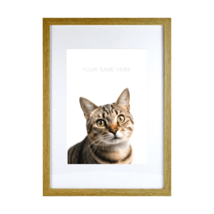 Tabby v3